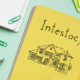 Understanding Maryland's Intestacy Laws